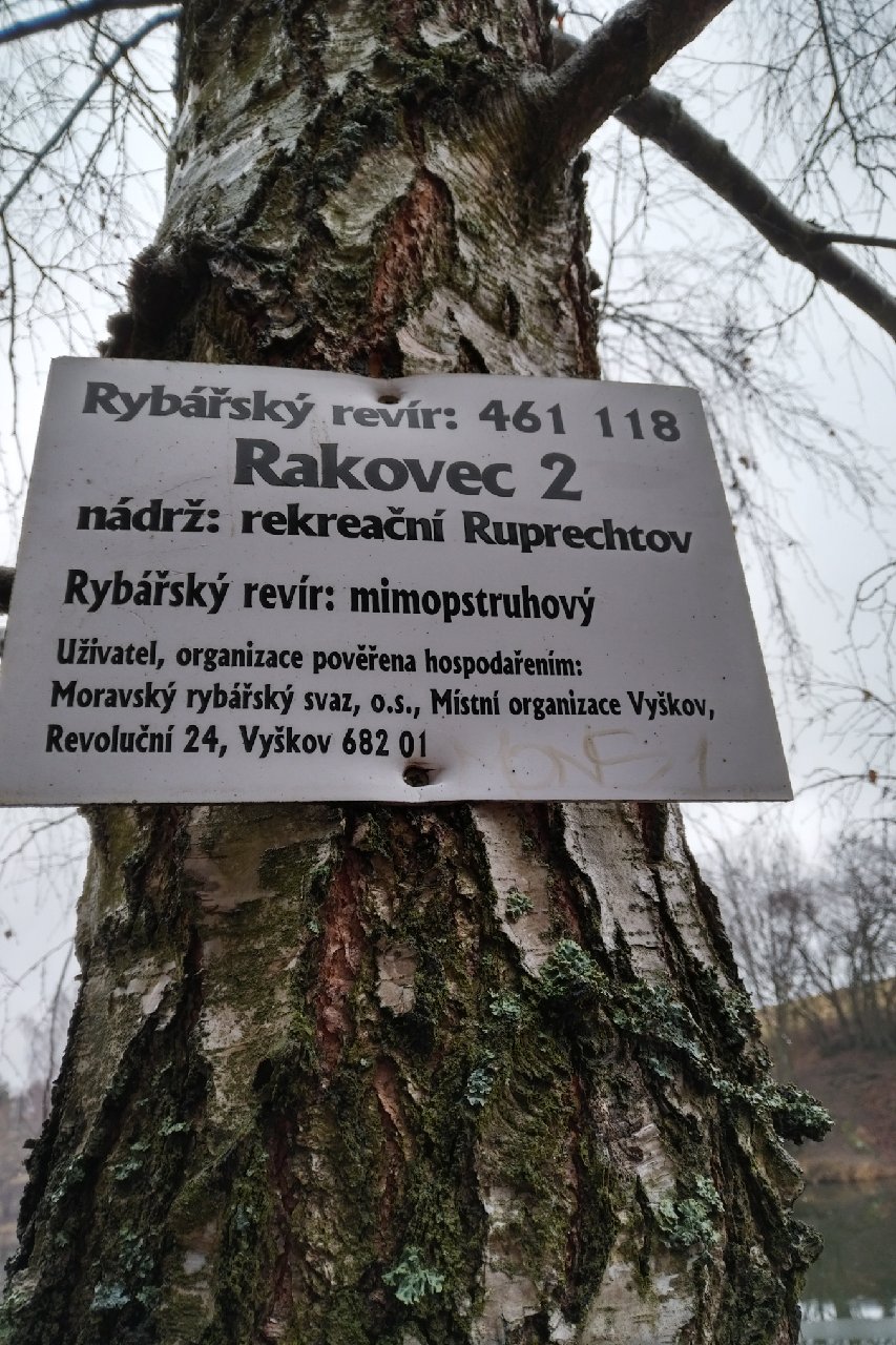 ROUBENKA Ruprechtov 5
