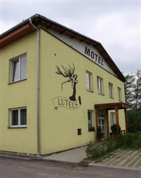 luteus1.JPG 2